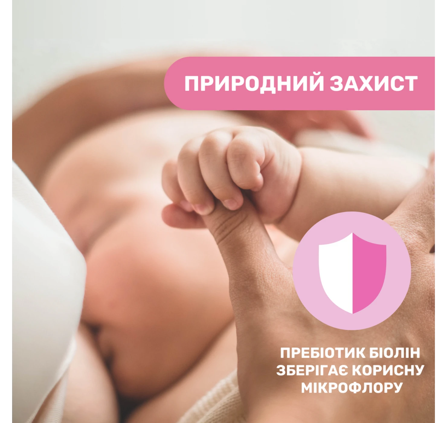 878fcd43680fc81d2c032cd0f8469447