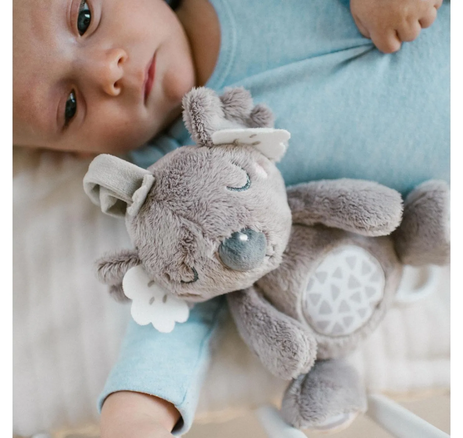 1632_pozytywka_KOALA COCO_W03_babyono_1200x1200