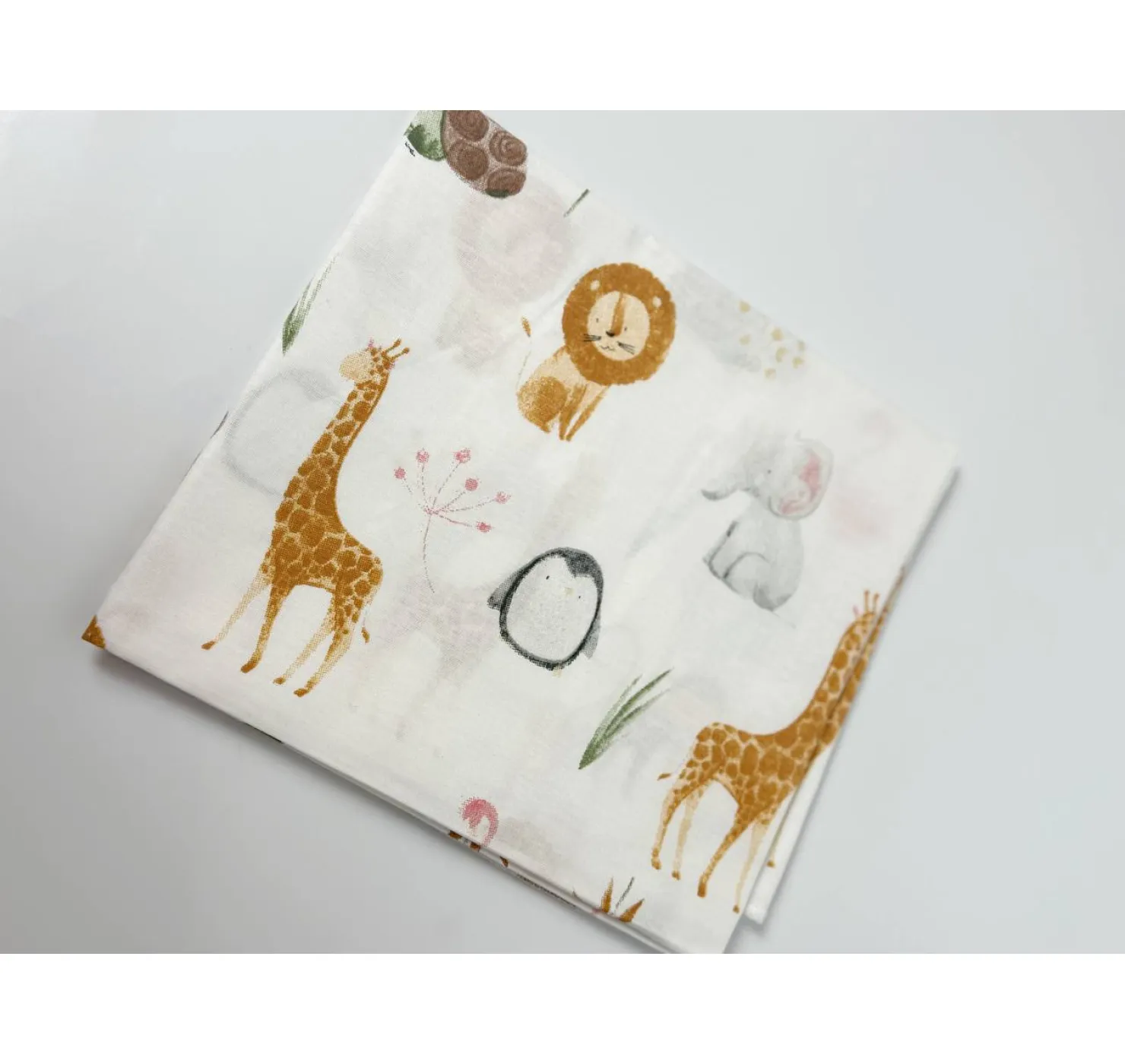 photo_2025-11-21_16-55-15