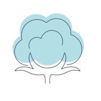 Екстраніжна формула