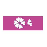 Екстраніжна формула